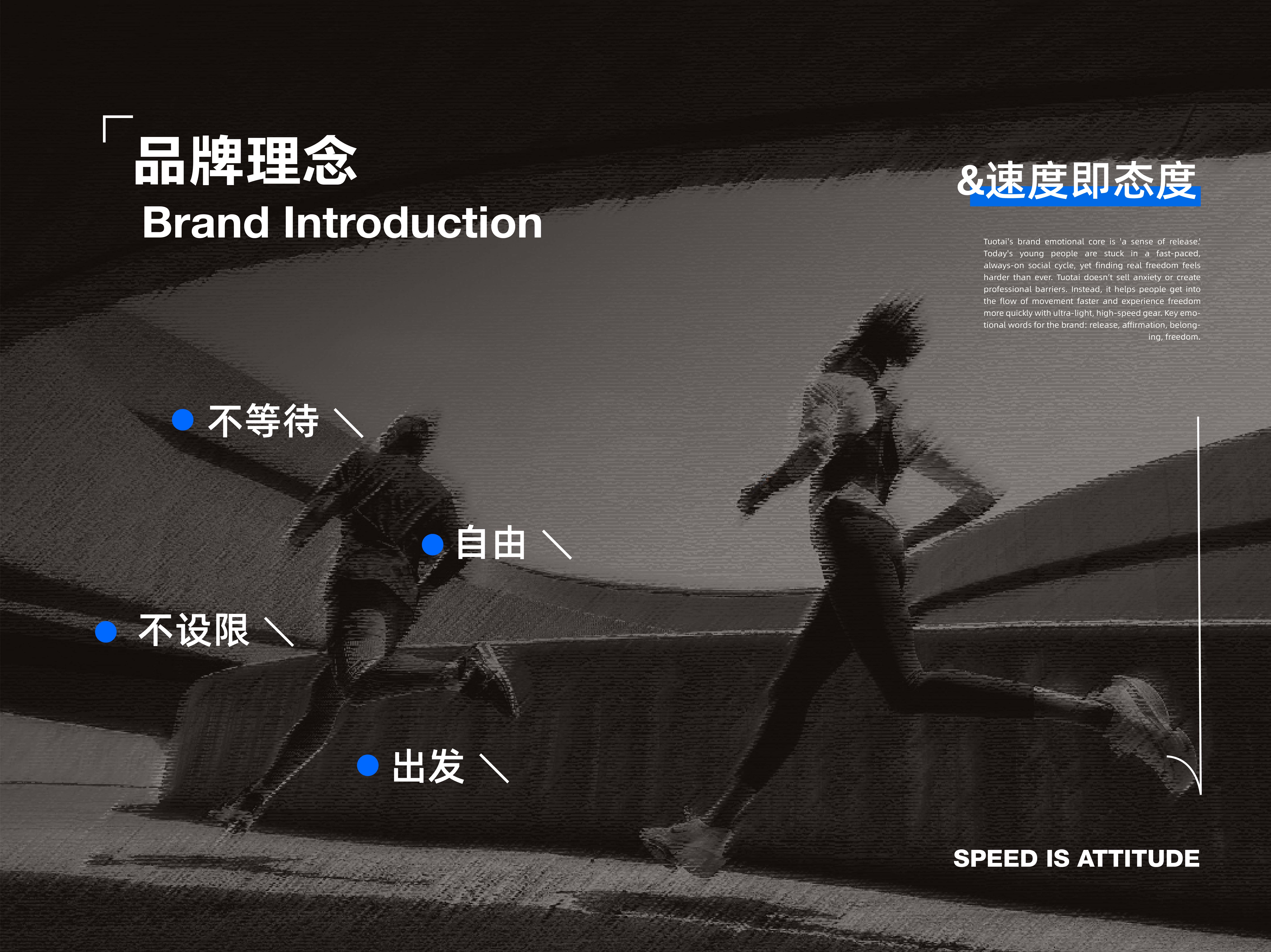 拓态品牌P3.jpg