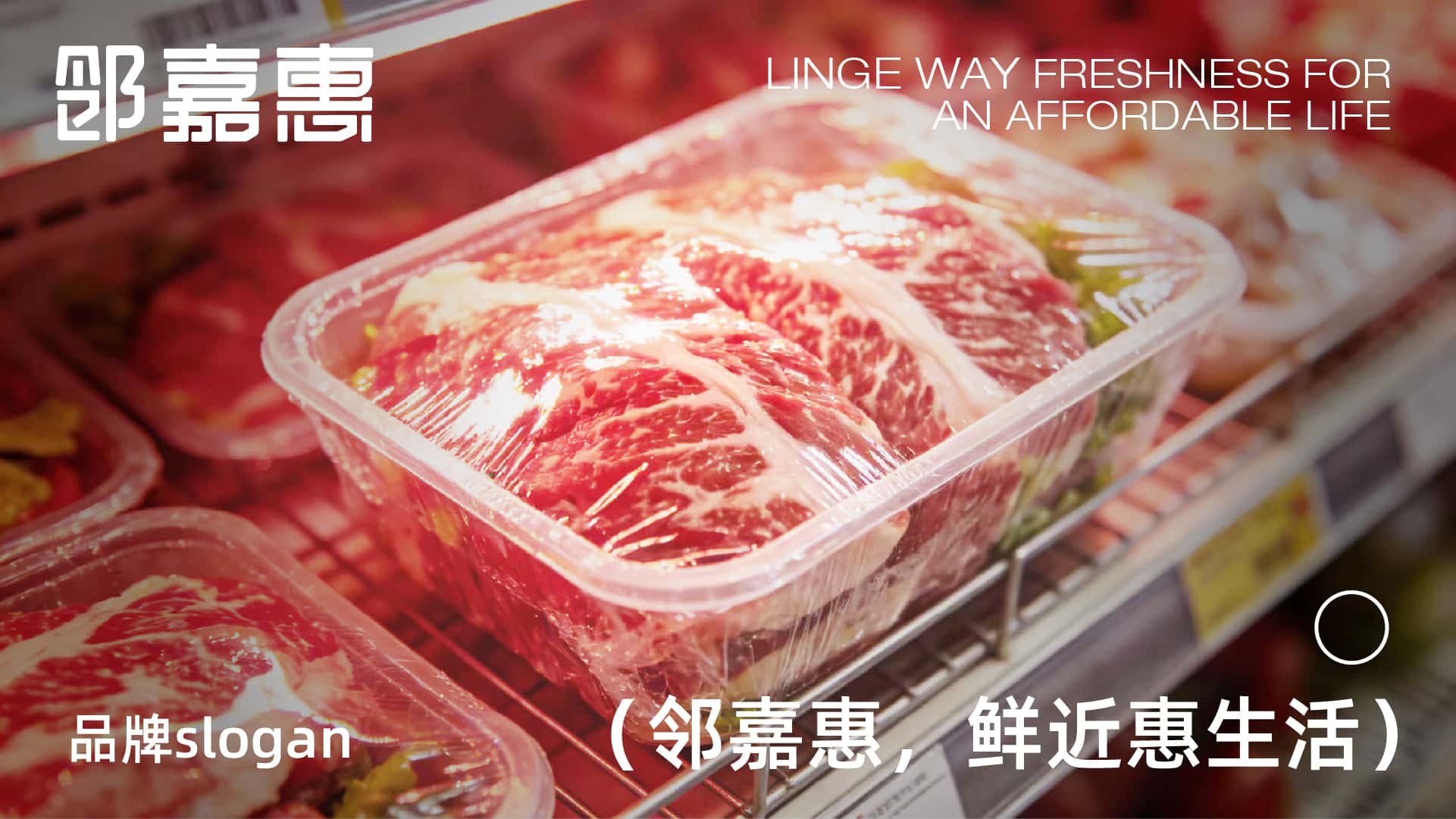 画板 1 副本 10-100-TwZj.jpg