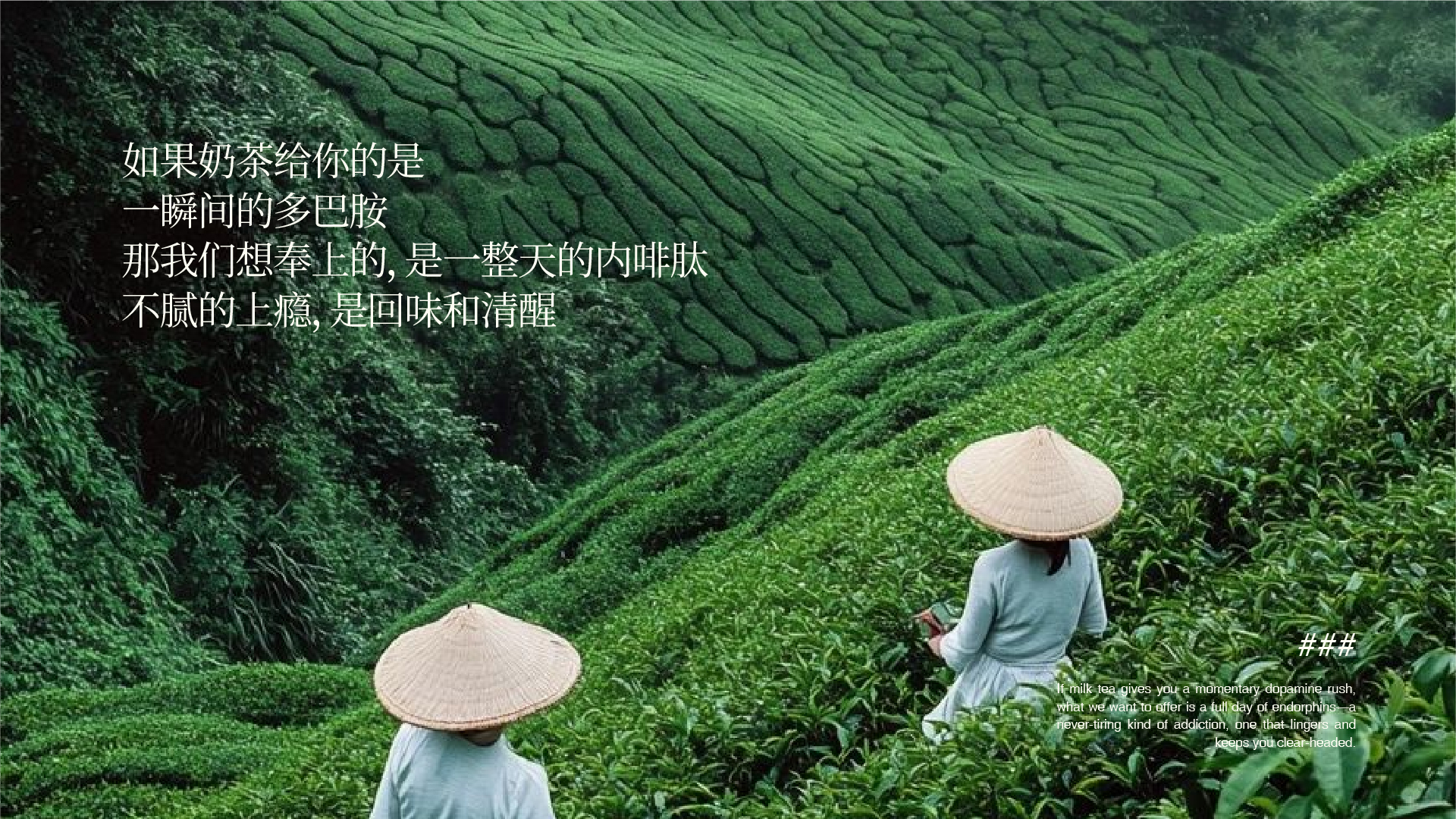 画板 1 副本 26-100-yweg.jpg