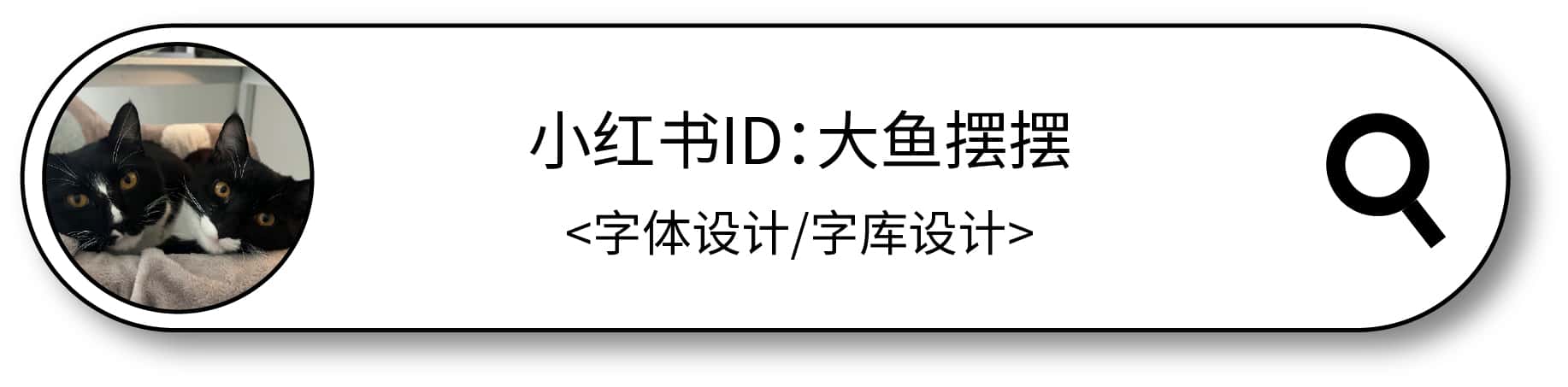 大鱼摆摆