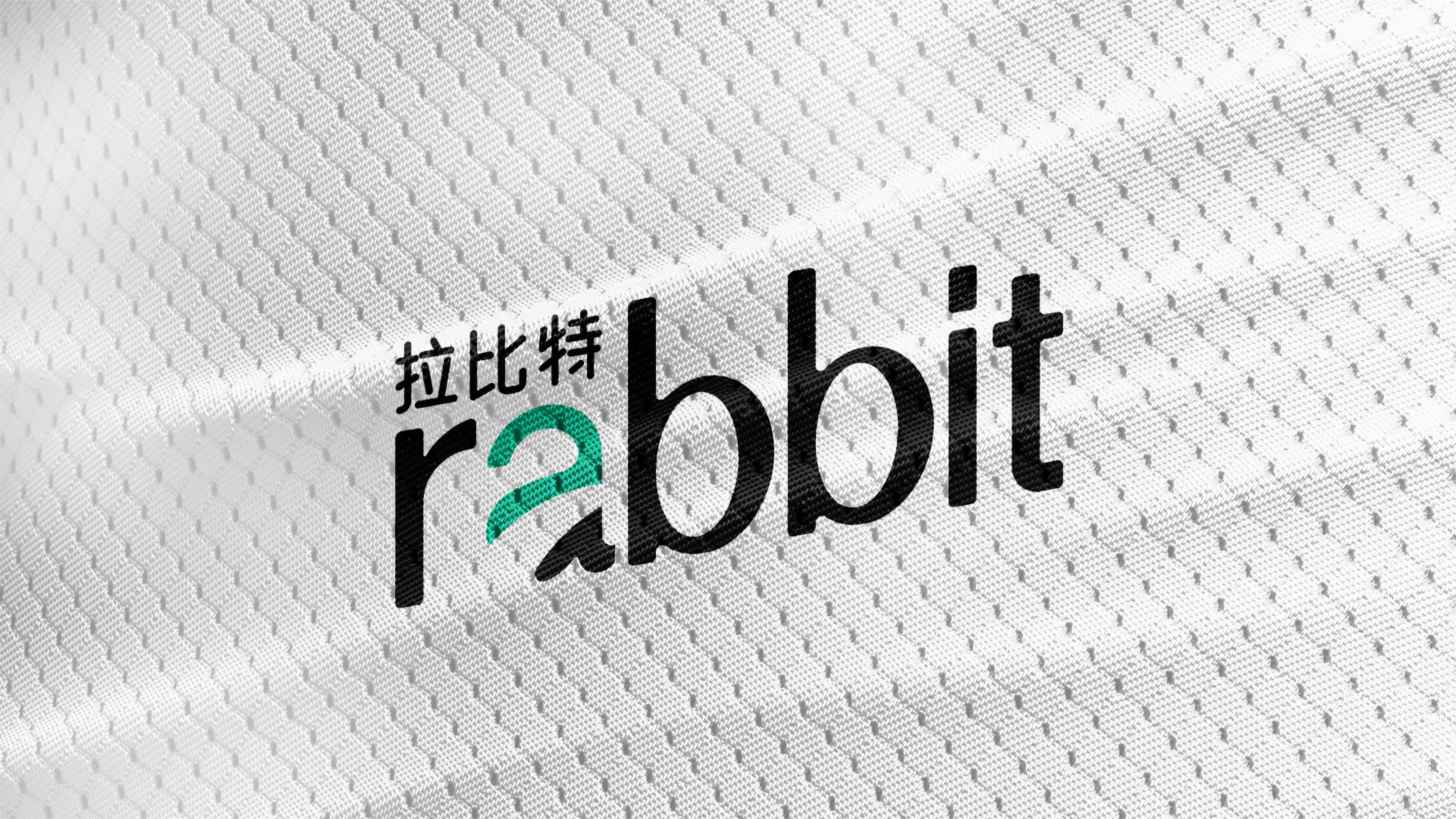 RABBIT-18-gHNw.jpg