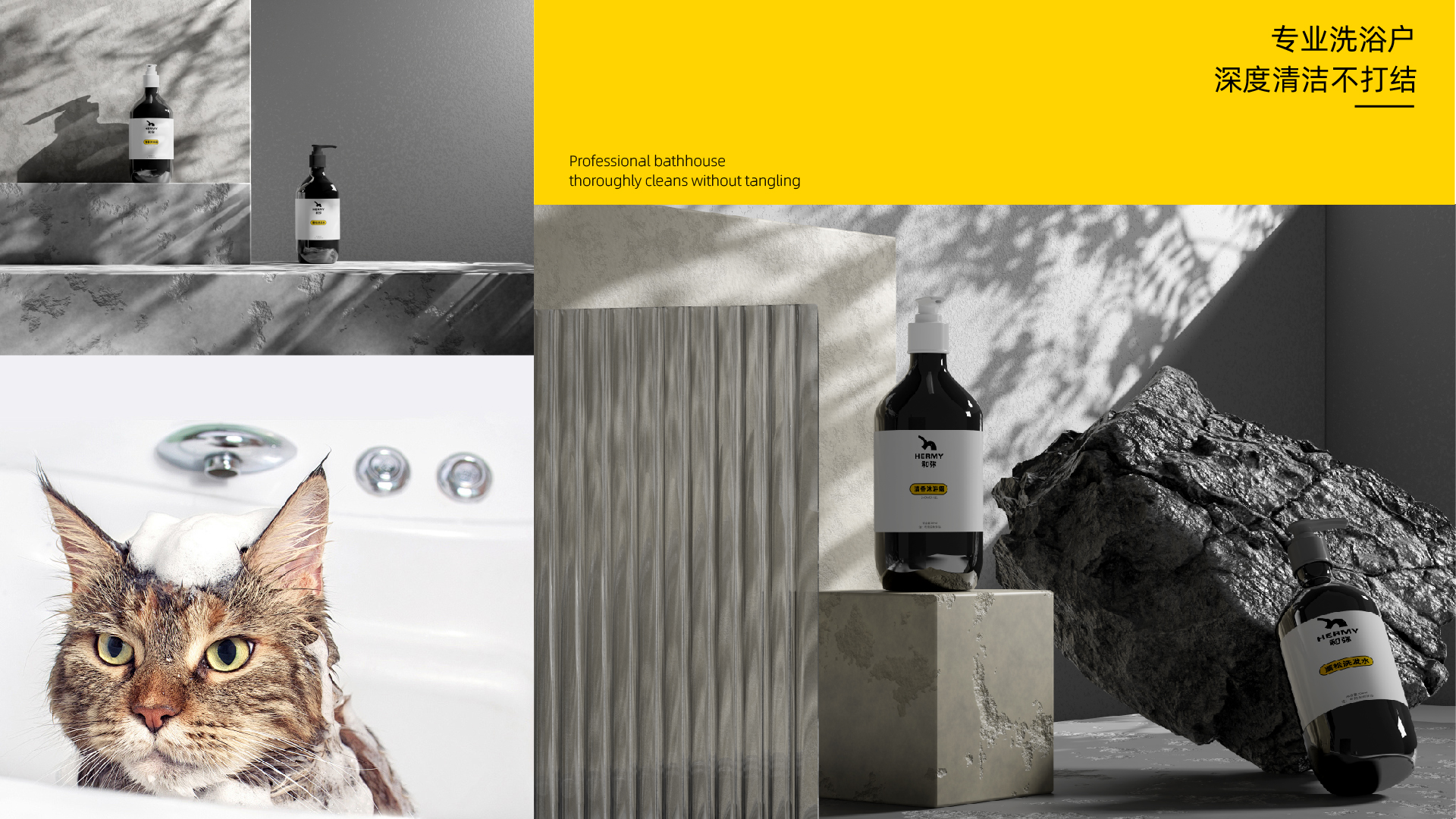 宠物品牌_画板 1 副本 16.jpg