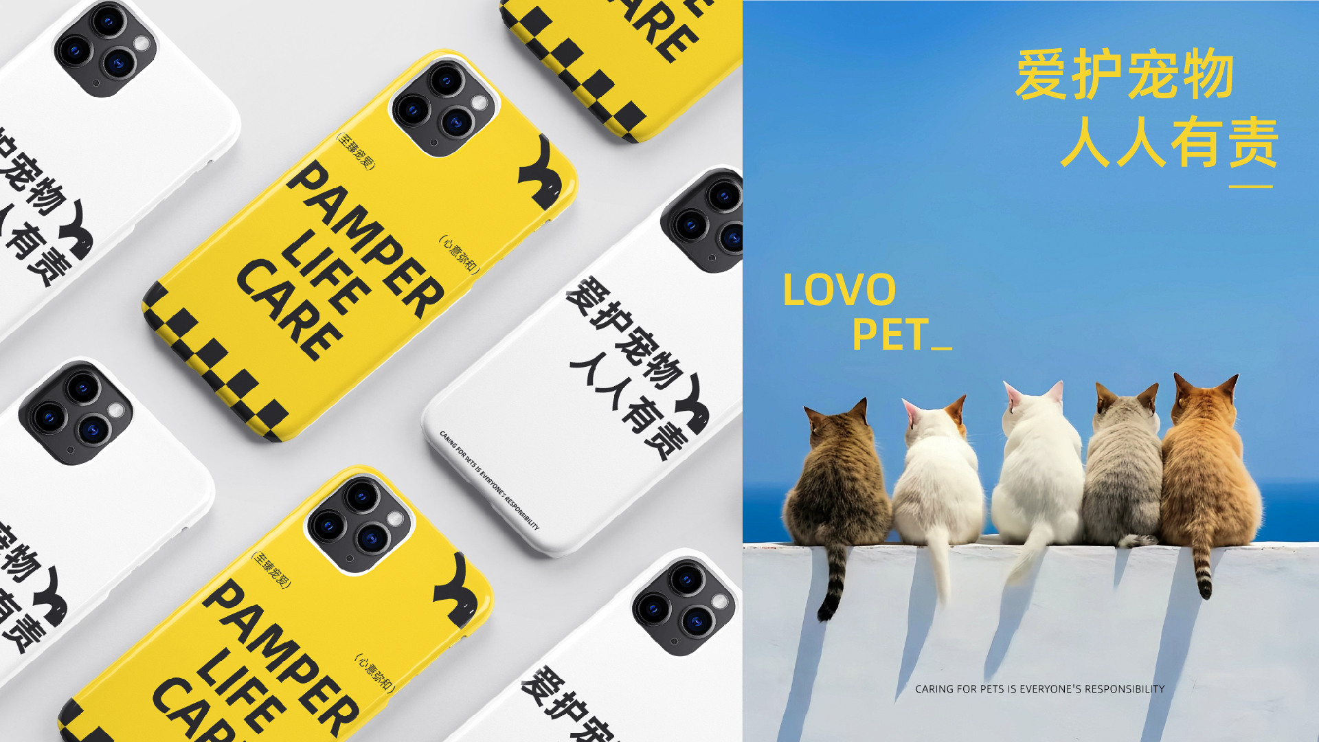 宠物品牌_画板 1 副本 18.jpg