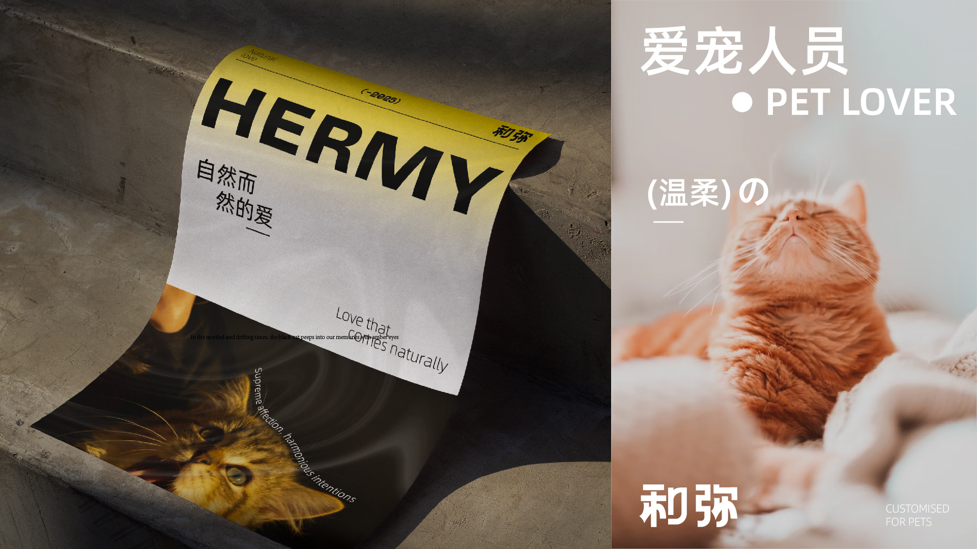 宠物品牌_画板 1 副本 20.jpg