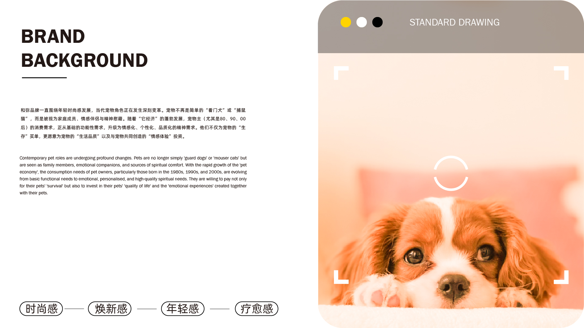 宠物品牌_画板 1 副本.jpg
